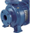 Ebara 3DSF Free Standing Pump
